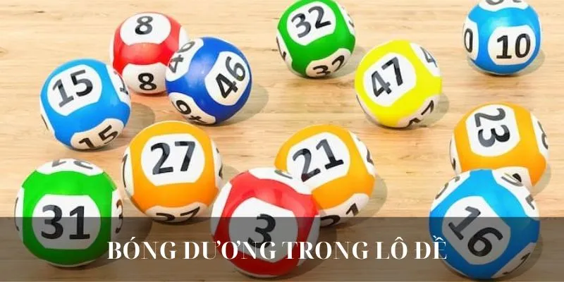 Hội viên nắm rõ cách tính bóng dương trong xổ số lô đề