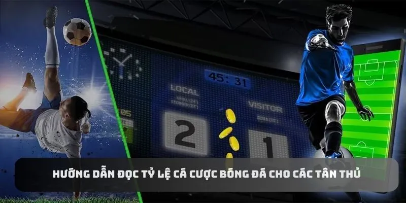 Hướng dẫn đọc tỷ lệ cá cược bóng đá cho các tân thủ