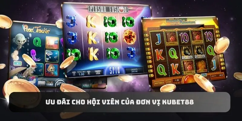 Ưu đãi cho hội viên của đơn vị KUBET88